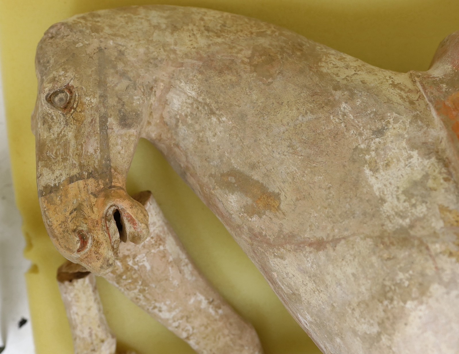 A large Chinese pigment painted pottery model of a saddled horse, Tang dynasty, incomplete, body approximately 58cms long